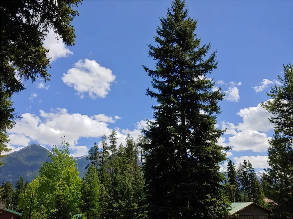 171 Fir Lane Condon MT 59826