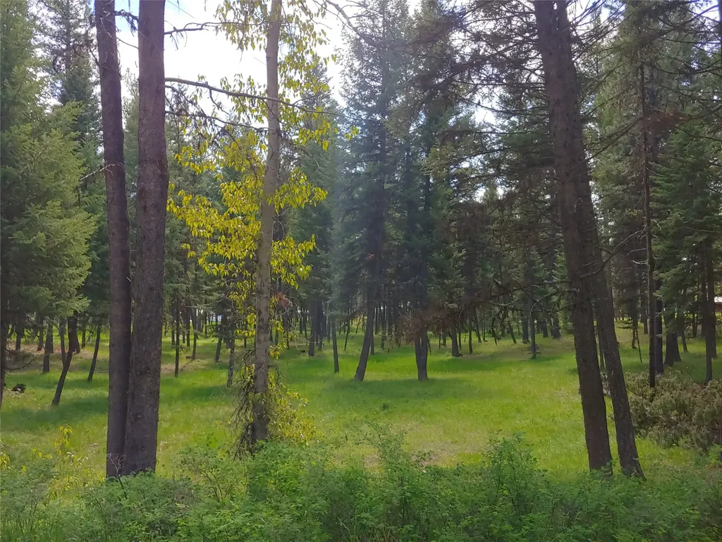 171 Fir Lane Condon MT 59826
