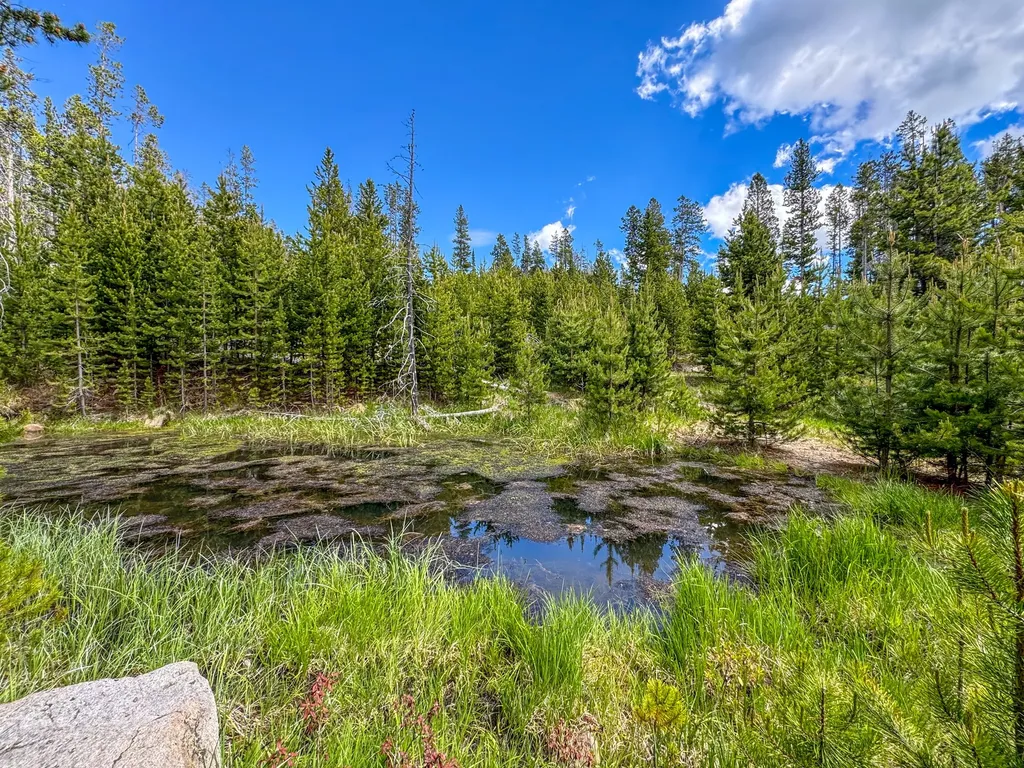 357 Ontario Drive Elliston MT 59728