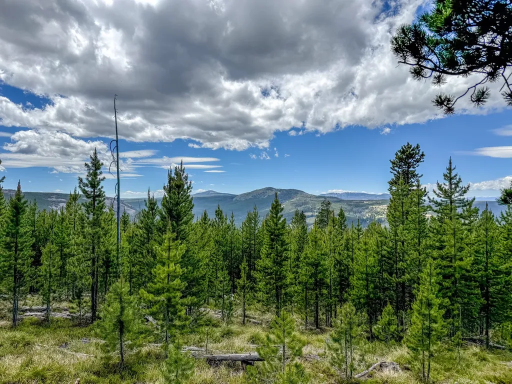 357 Ontario Drive Elliston MT 59728