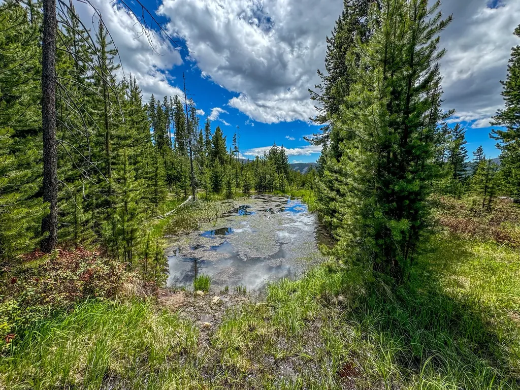 357 Ontario Drive Elliston MT 59728