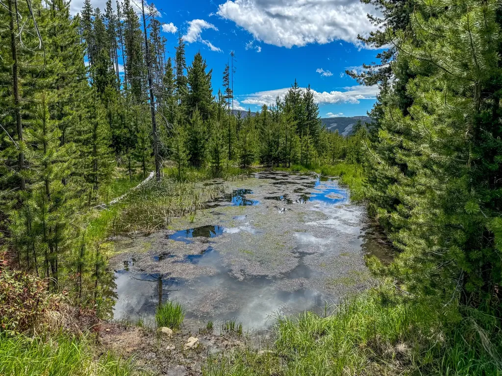 357 Ontario Drive Elliston MT 59728