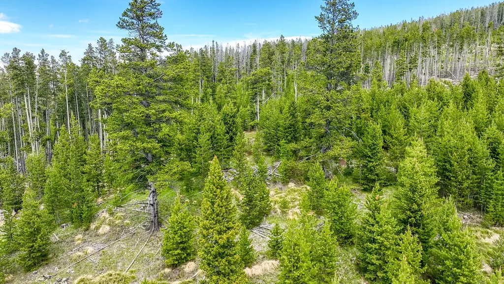 357 Ontario Drive Elliston MT 59728