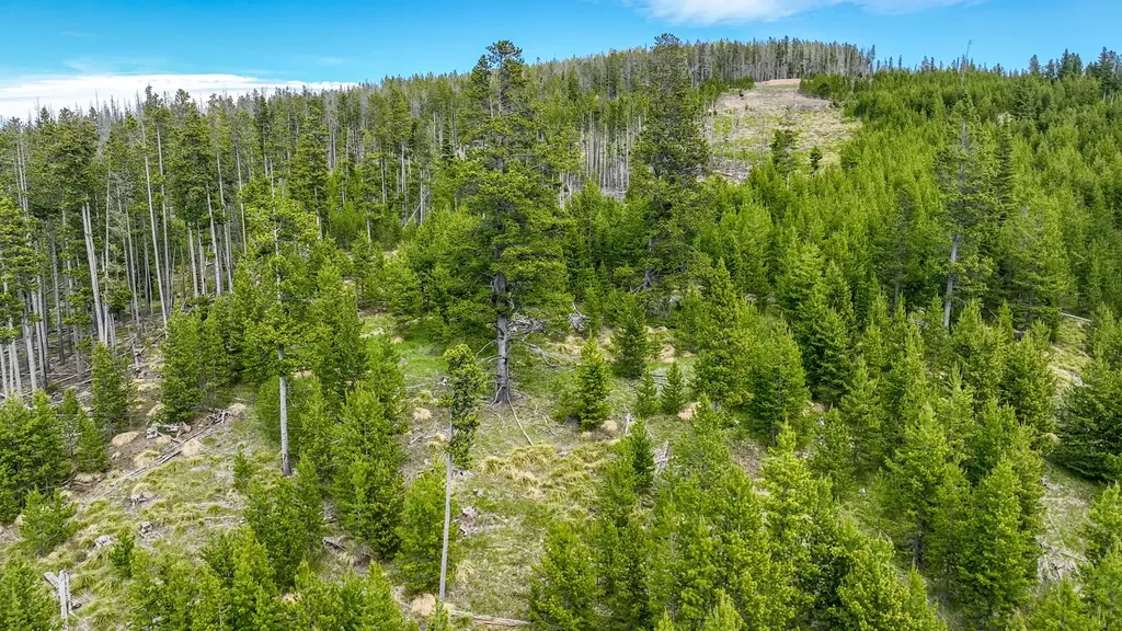 357 Ontario Drive Elliston MT 59728