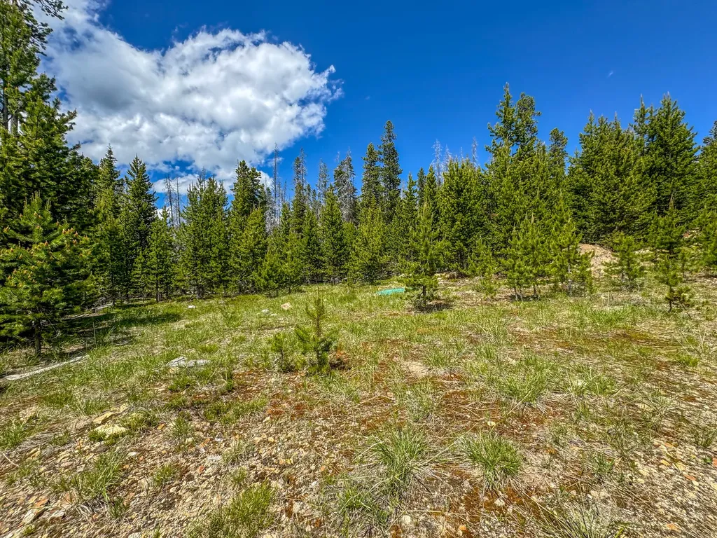 357 Ontario Drive Elliston MT 59728