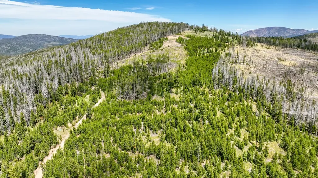 357 Ontario Drive Elliston MT 59728
