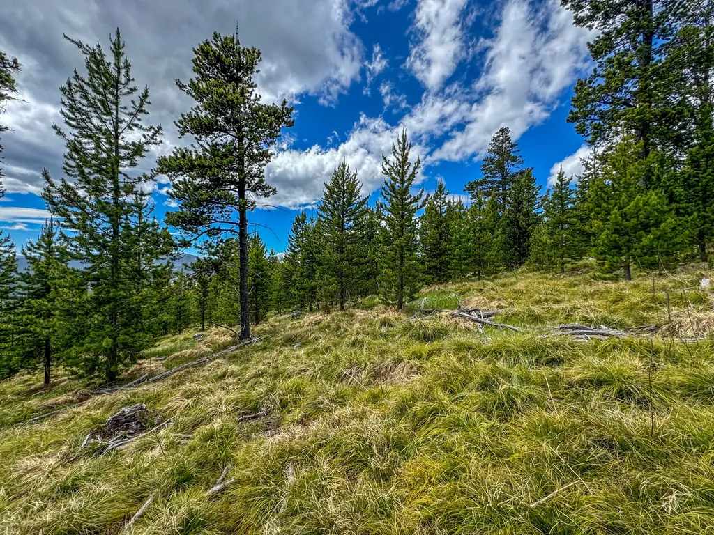 357 Ontario Drive Elliston MT 59728