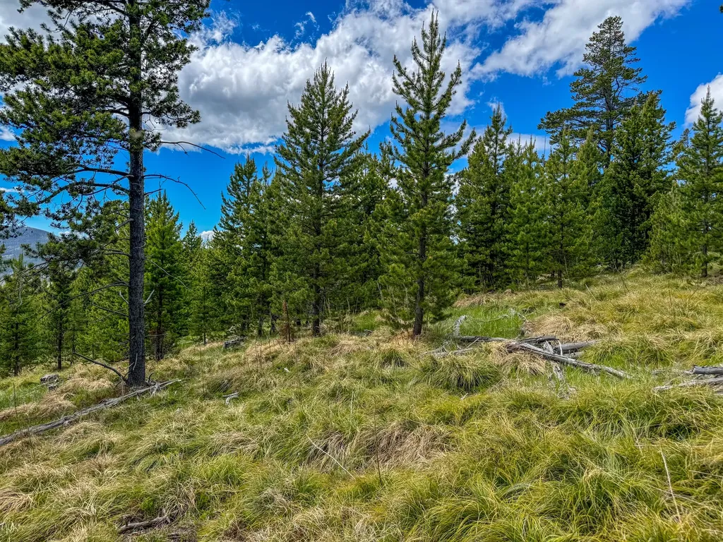 357 Ontario Drive Elliston MT 59728
