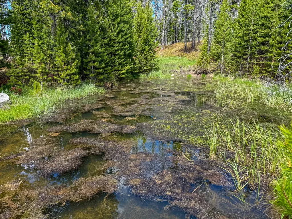 357 Ontario Drive Elliston MT 59728