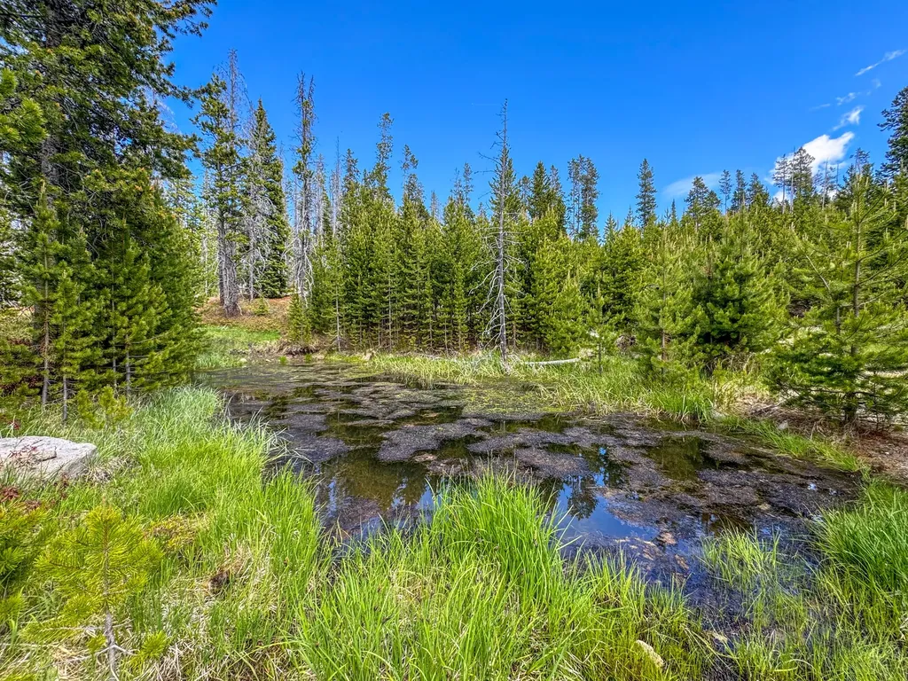 357 Ontario Drive Elliston MT 59728
