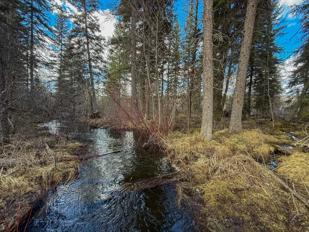 3630 Logan Creek Road Whitefish MT 59937