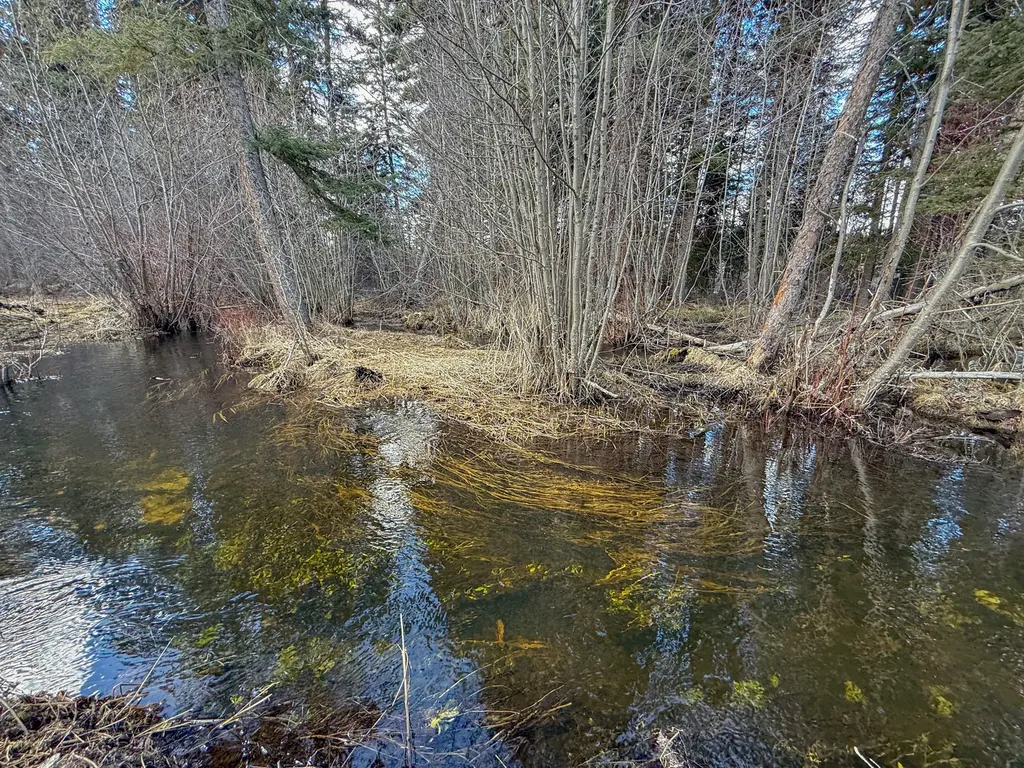 3630 Logan Creek Road Whitefish MT 59937