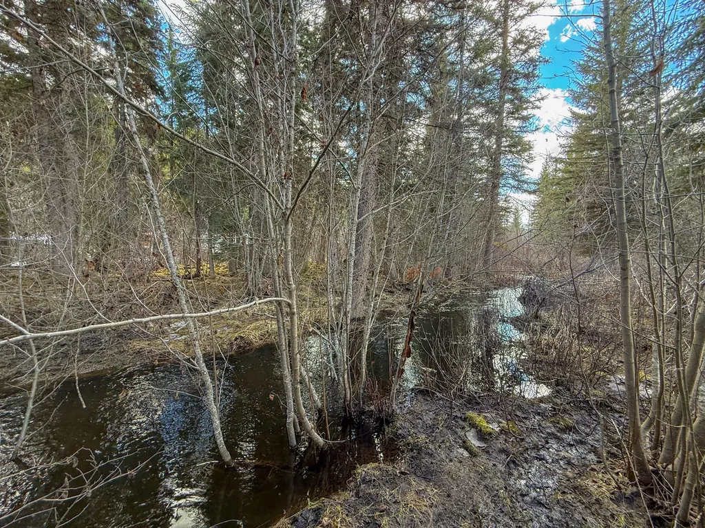 3630 Logan Creek Road Whitefish MT 59937