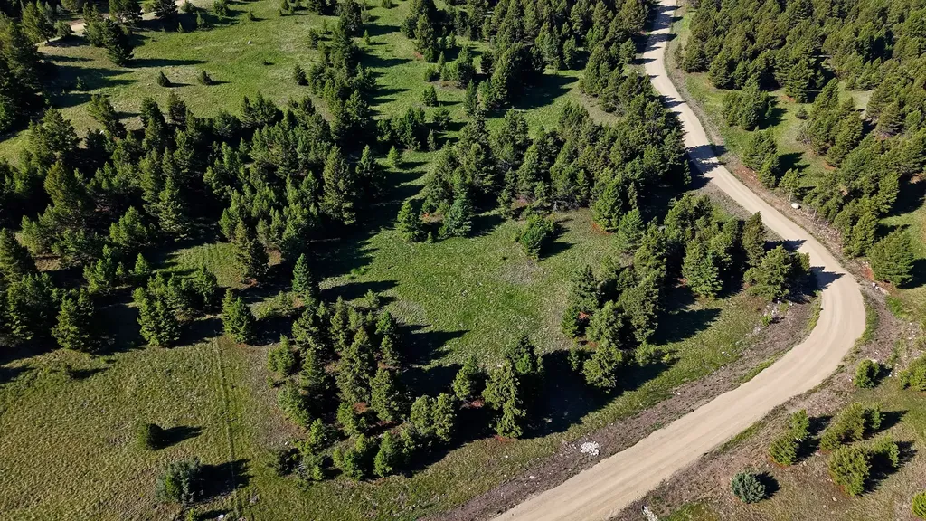 Nhn Lot 7 Phase 3a Dolus Lakes Road Deer Lodge MT 59722