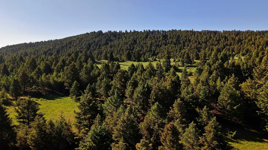 Nhn Lot 7 Phase 3a Dolus Lakes Road Deer Lodge MT 59722