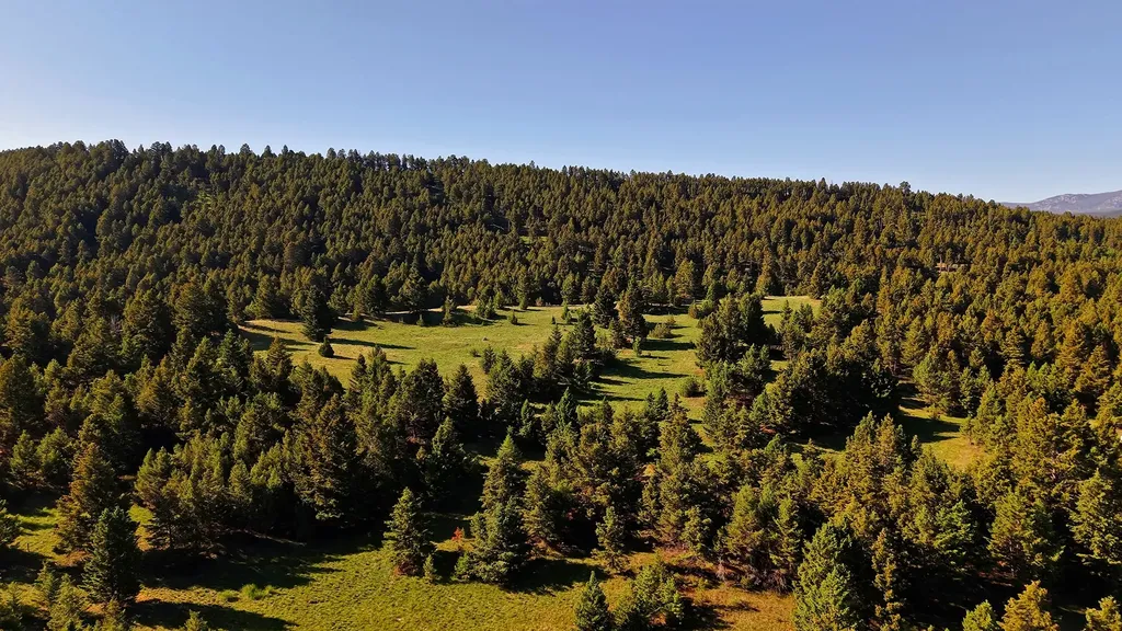 Nhn Lot 7 Phase 3a Dolus Lakes Road Deer Lodge MT 59722