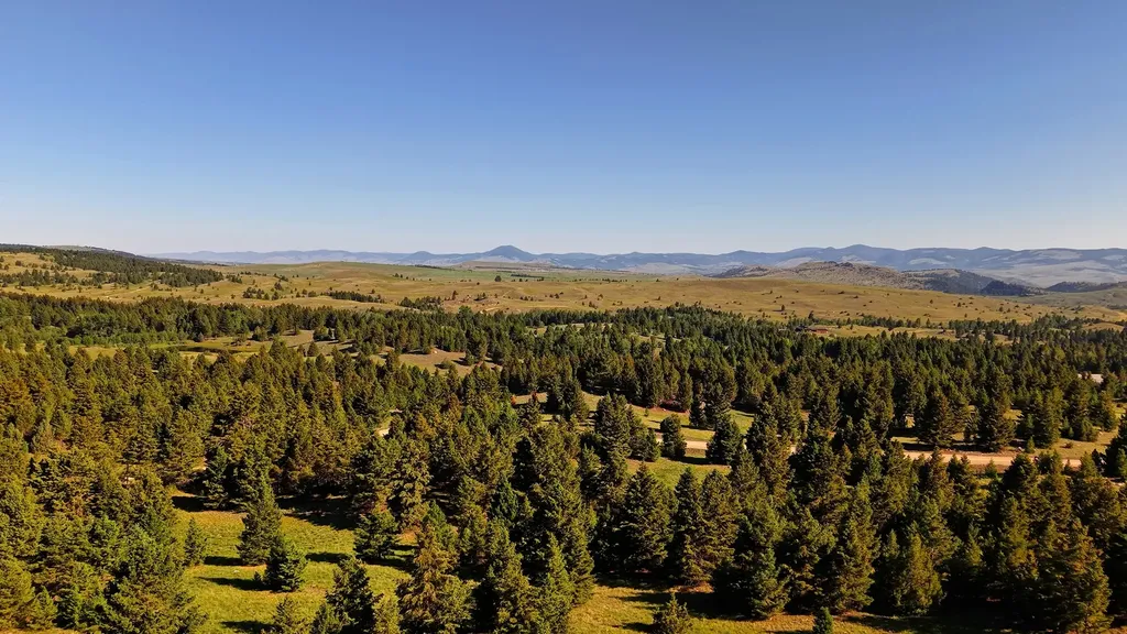 Nhn Lot 7 Phase 3a Dolus Lakes Road Deer Lodge MT 59722
