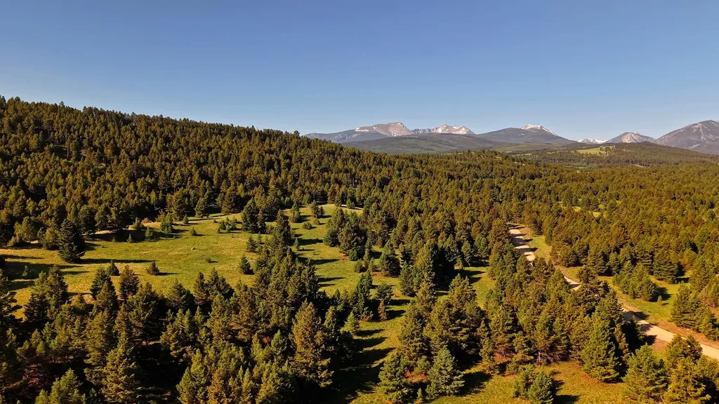 Nhn Lot 7 Phase 3a Dolus Lakes Road Deer Lodge MT 59722