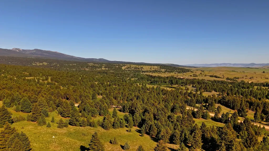 Nhn Lot 7 Phase 3a Dolus Lakes Road Deer Lodge MT 59722