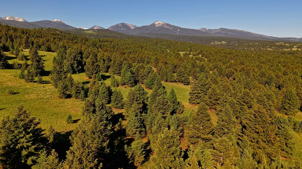 Nhn Lot 7 Phase 3a Dolus Lakes Road Deer Lodge MT 59722