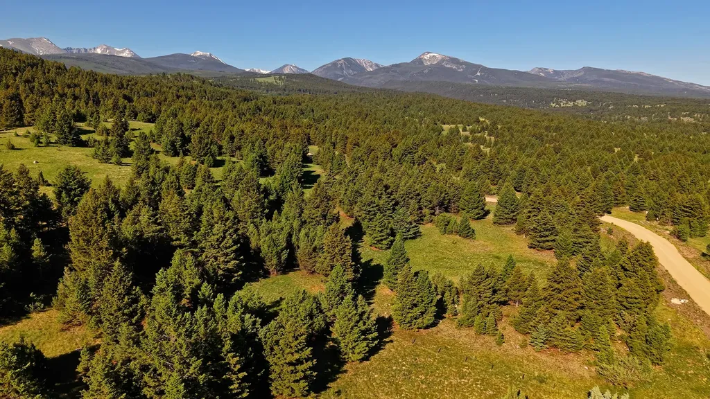 Nhn Lot 7 Phase 3a Dolus Lakes Road Deer Lodge MT 59722