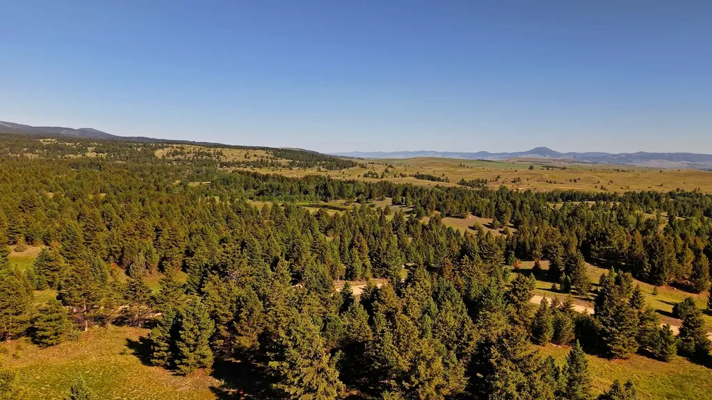 Nhn Lot 7 Phase 3a Dolus Lakes Road Deer Lodge MT 59722