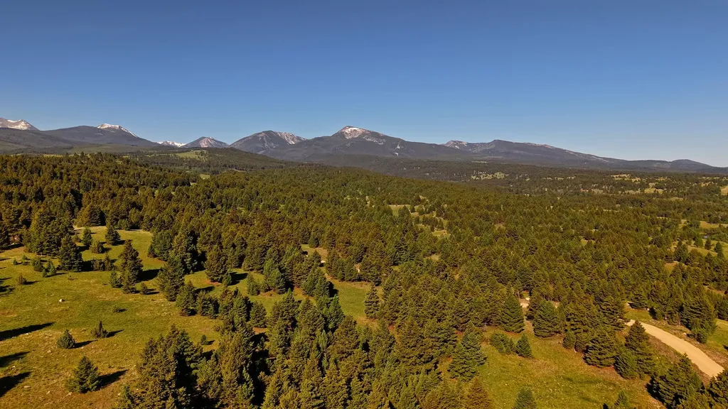 Nhn Lot 7 Phase 3a Dolus Lakes Road Deer Lodge MT 59722
