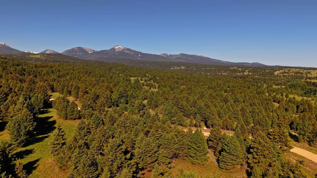 Nhn Lot 7 Phase 3a Dolus Lakes Road Deer Lodge MT 59722