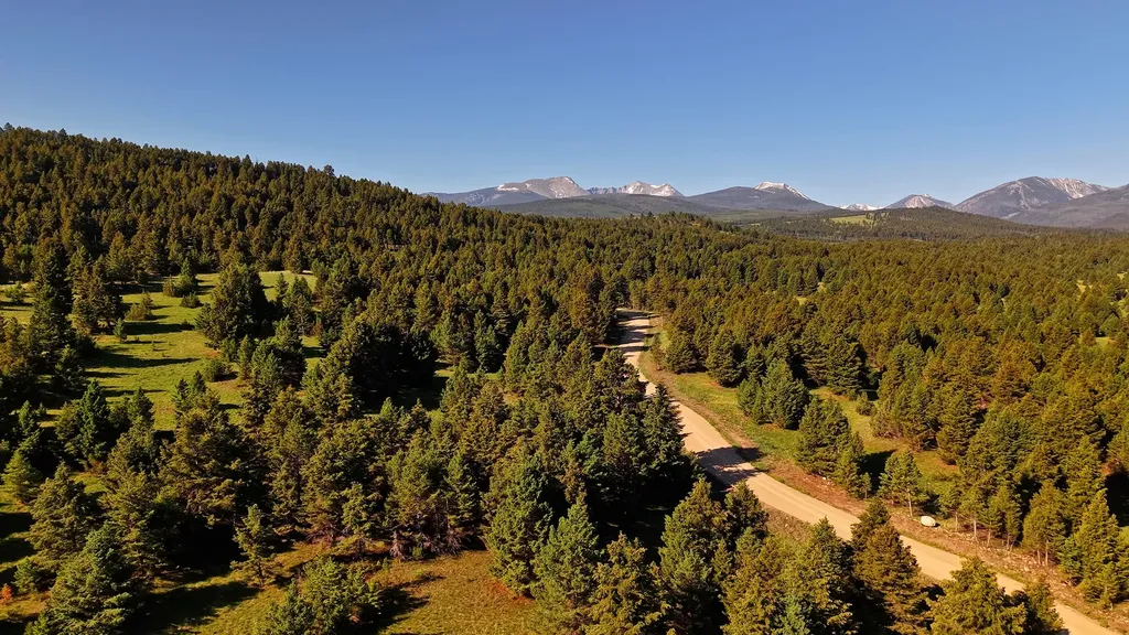 Nhn Lot 7 Phase 3a Dolus Lakes Road Deer Lodge MT 59722