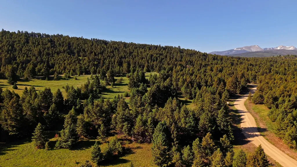 Nhn Lot 7 Phase 3a Dolus Lakes Road Deer Lodge MT 59722