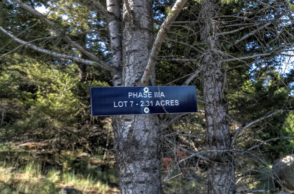 Nhn Lot 7 Phase 3a Dolus Lakes Road Deer Lodge MT 59722
