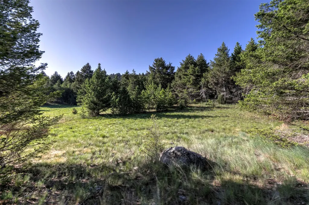 Nhn Lot 7 Phase 3a Dolus Lakes Road Deer Lodge MT 59722