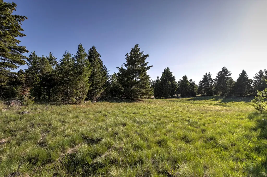 Nhn Lot 7 Phase 3a Dolus Lakes Road Deer Lodge MT 59722