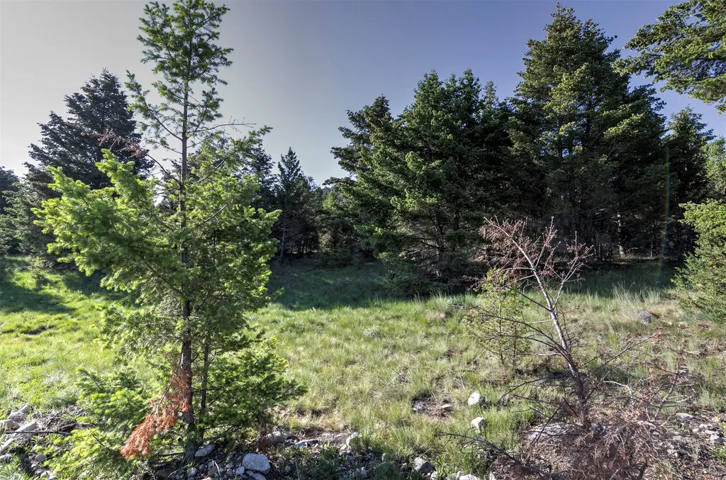 Nhn Lot 7 Phase 3a Dolus Lakes Road Deer Lodge MT 59722