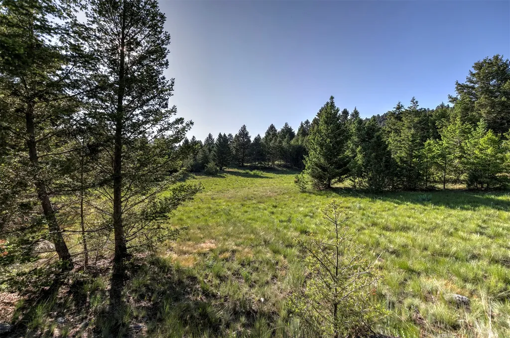 Nhn Lot 7 Phase 3a Dolus Lakes Road Deer Lodge MT 59722