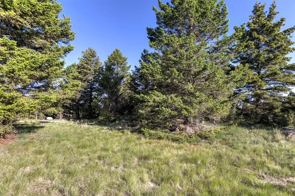 Nhn Lot 7 Phase 3a Dolus Lakes Road Deer Lodge MT 59722