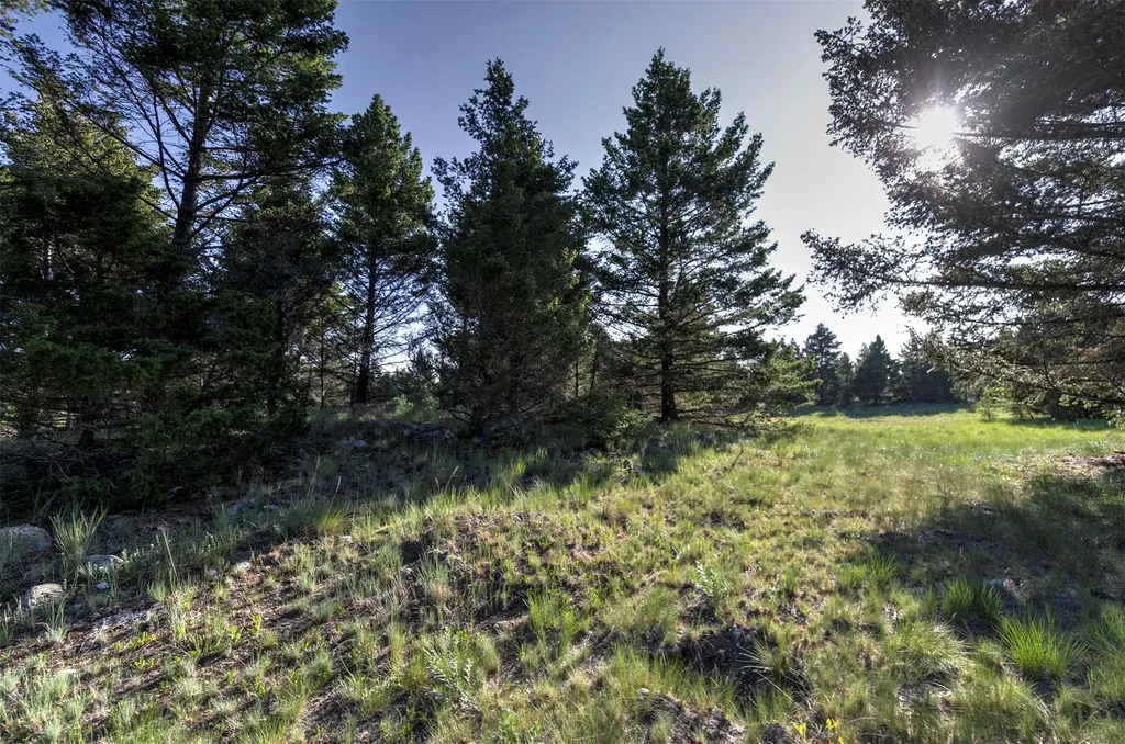 Nhn Lot 7 Phase 3a Dolus Lakes Road Deer Lodge MT 59722