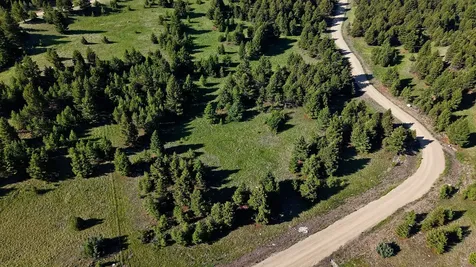 Nhn Lot 7 Phase 3a Dolus Lakes Road Deer Lodge MT 59722