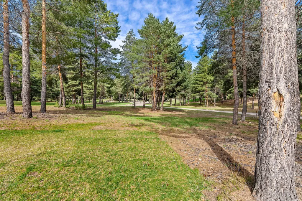 310 Rocky Woods Lane Bigfork MT 59911