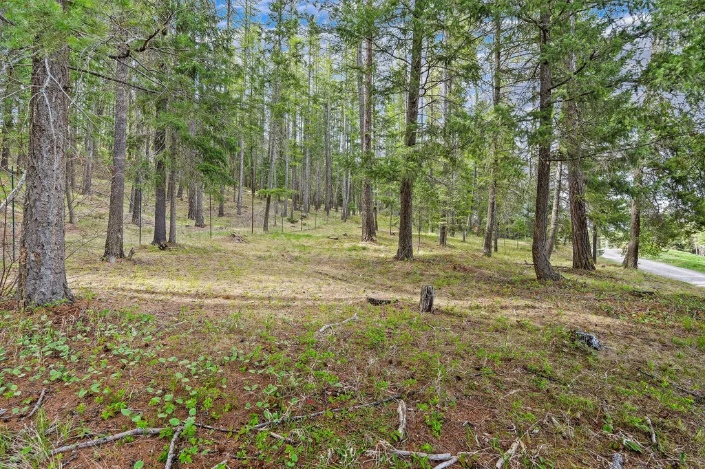 310 Rocky Woods Lane Bigfork MT 59911