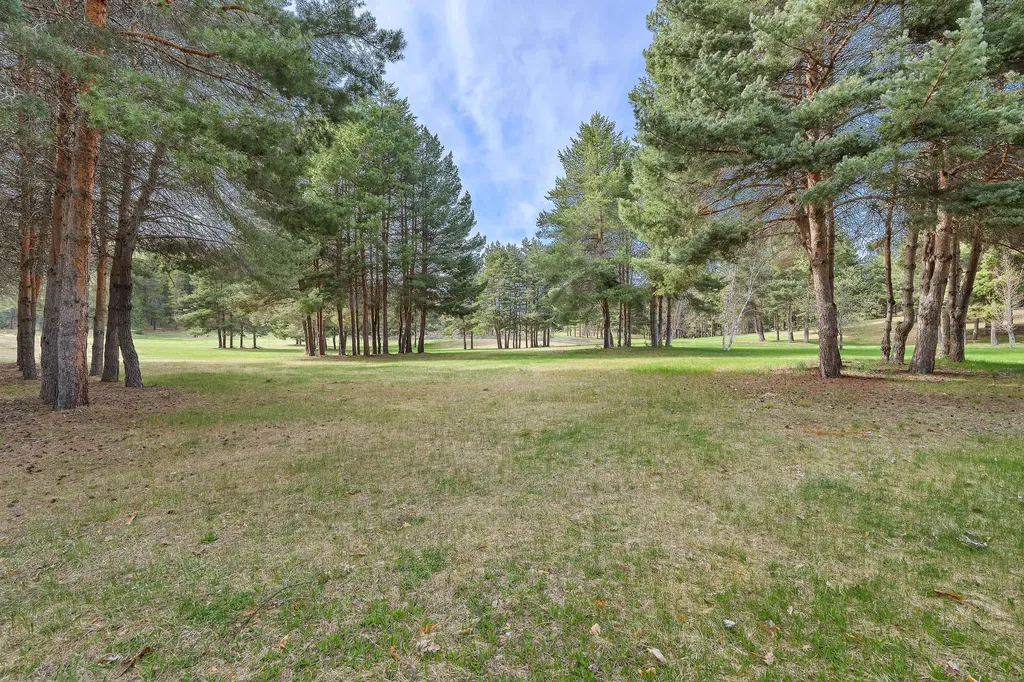 310 Rocky Woods Lane Bigfork MT 59911