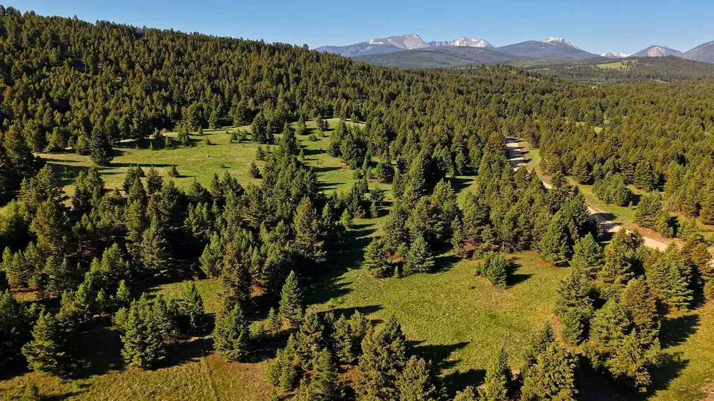 Nhn Lot 8 Phase 3a Dolus Lakes Road Deer Lodge MT 59722