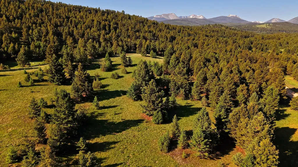 Nhn Lot 8 Phase 3a Dolus Lakes Road Deer Lodge MT 59722