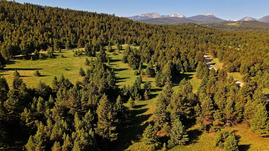Nhn Lot 8 Phase 3a Dolus Lakes Road Deer Lodge MT 59722