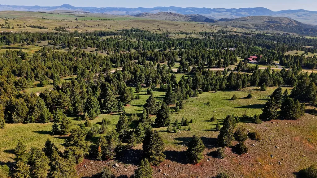 Nhn Lot 8 Phase 3a Dolus Lakes Road Deer Lodge MT 59722