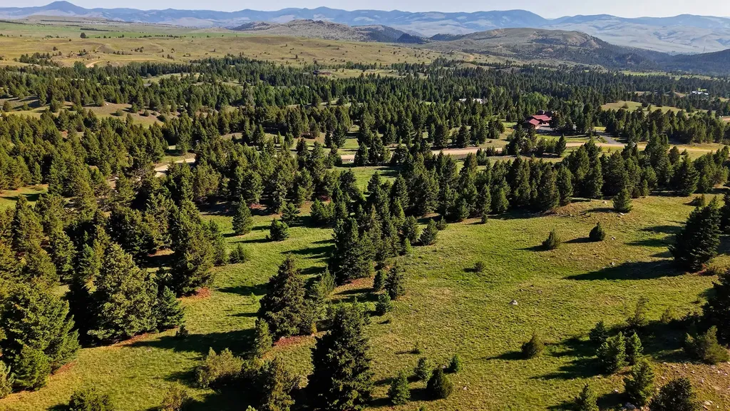Nhn Lot 8 Phase 3a Dolus Lakes Road Deer Lodge MT 59722