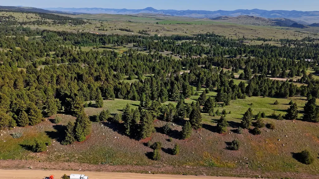 Nhn Lot 8 Phase 3a Dolus Lakes Road Deer Lodge MT 59722