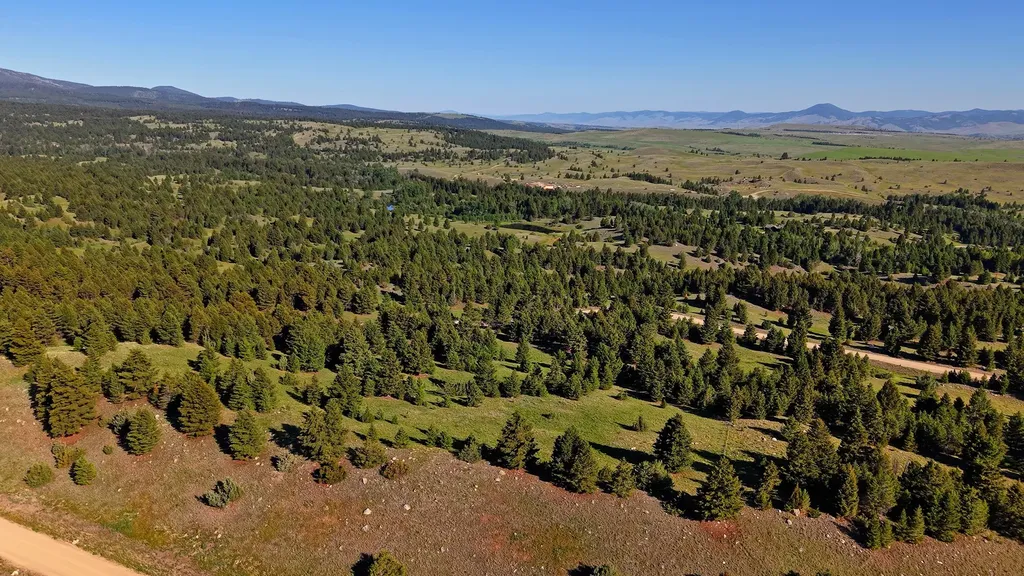 Nhn Lot 8 Phase 3a Dolus Lakes Road Deer Lodge MT 59722