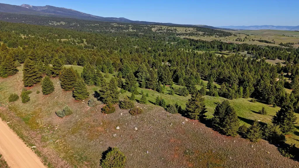 Nhn Lot 8 Phase 3a Dolus Lakes Road Deer Lodge MT 59722