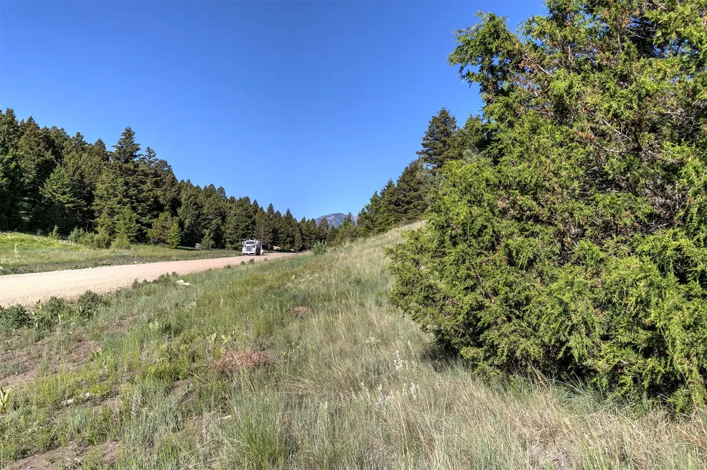 Nhn Lot 8 Phase 3a Dolus Lakes Road Deer Lodge MT 59722